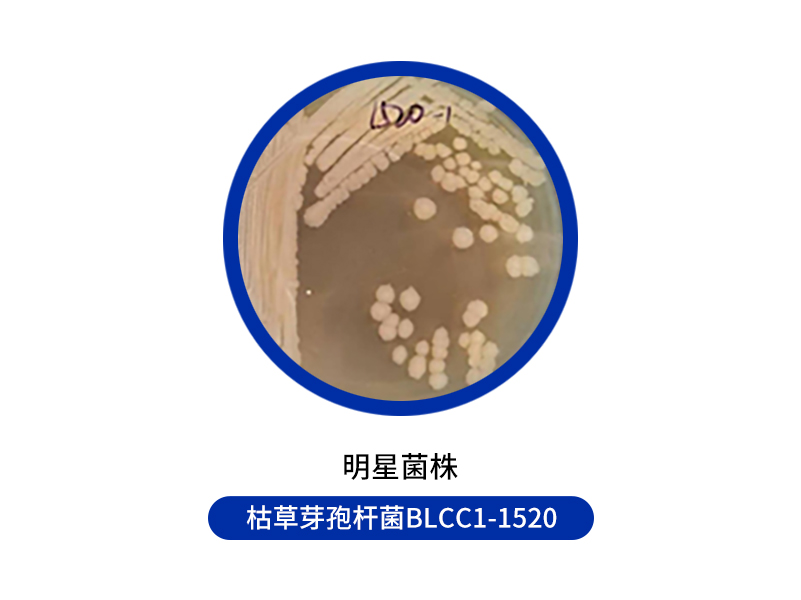 中国·37000威尼斯(股份)有限公司-官方网站