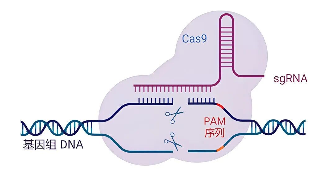 640?wx_fmt=jpeg#imgIndex=1 图片