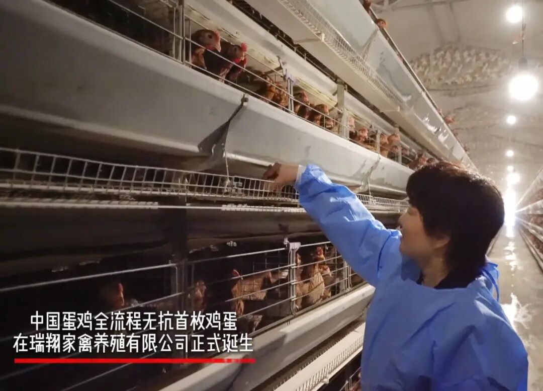 640?wx_fmt=jpeg&from=appmsg#imgIndex=1 图片